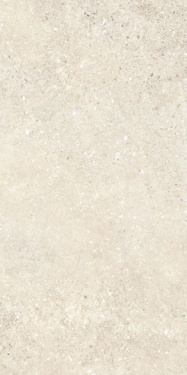 Untamed Wander Warm 12 x 24